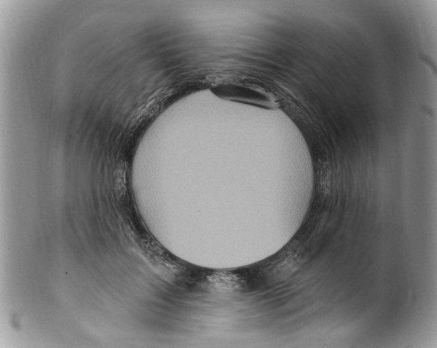 X0000099580603200806131320