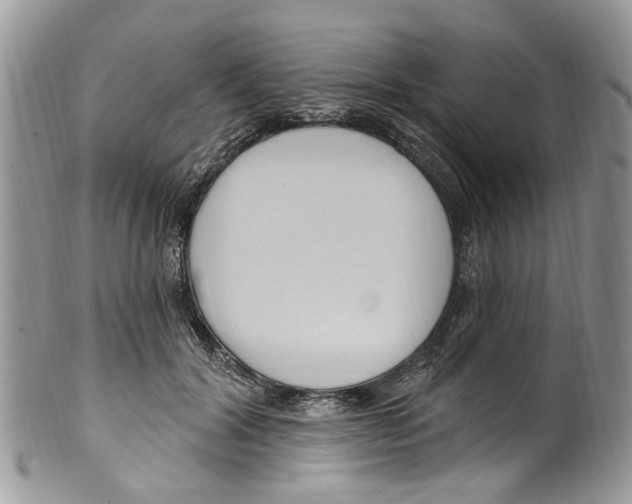 X0000099580604200806131320