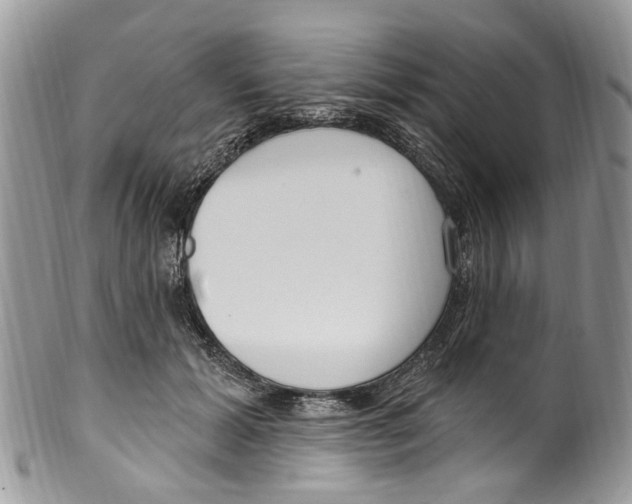 X0000099580605200806131320