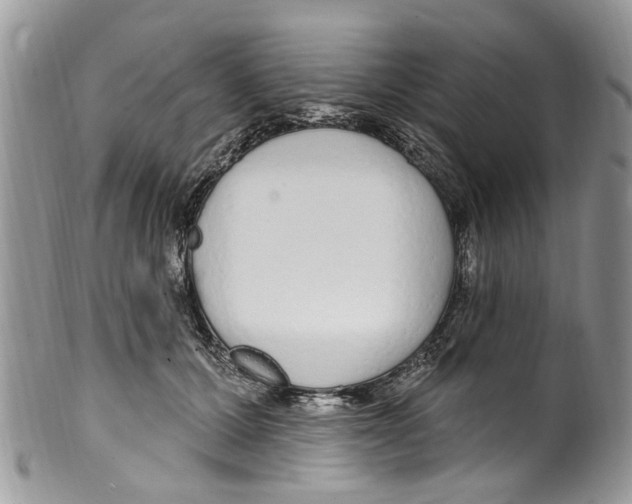 X0000099580607200806131320