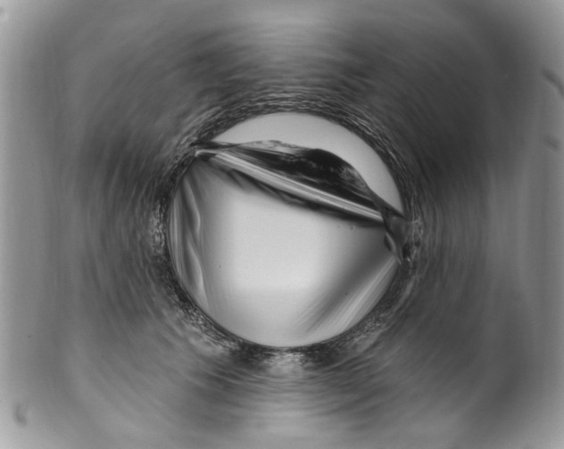 X0000099580609200806131320