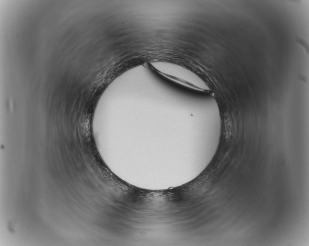 X0000099580613200806131319