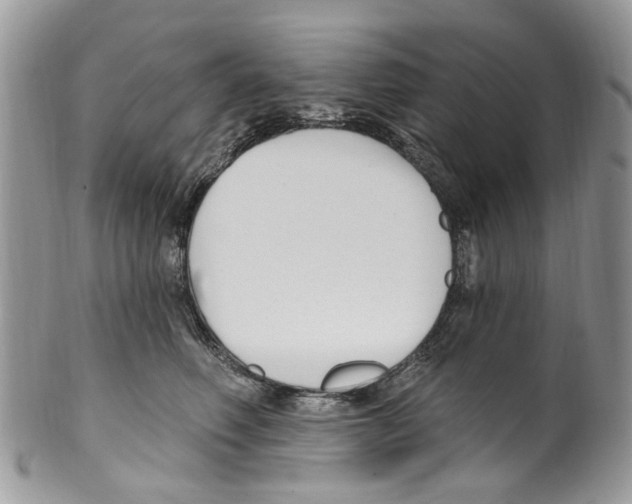 X0000099580614200806131319