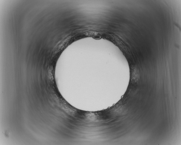 X0000099580616200806131319