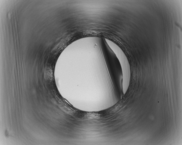 X0000099580617200806131319