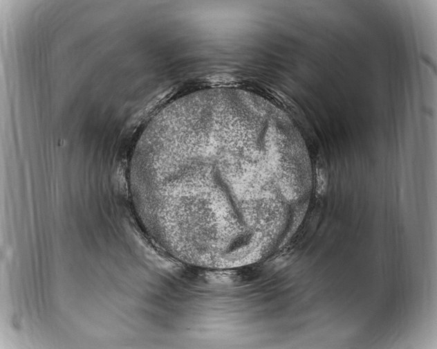 X0000099580618200806131319