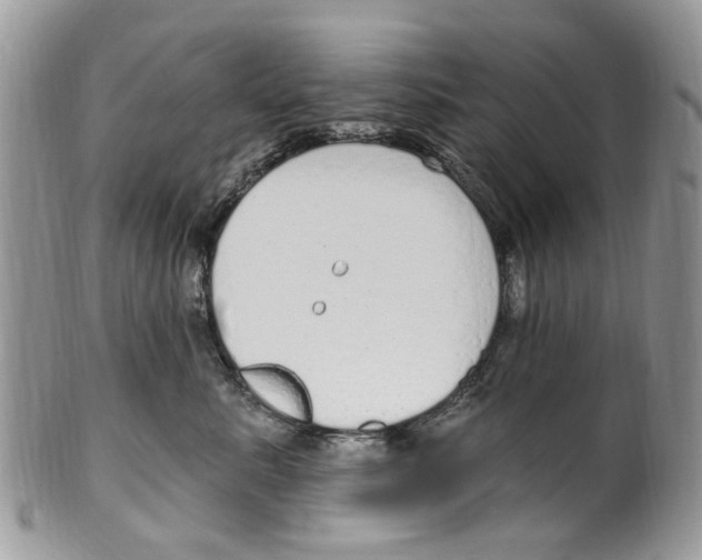 X0000099580619200806131319