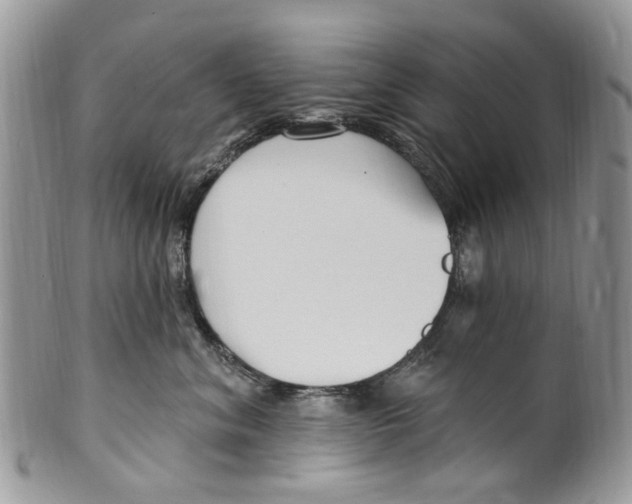 X0000099580620200806131319