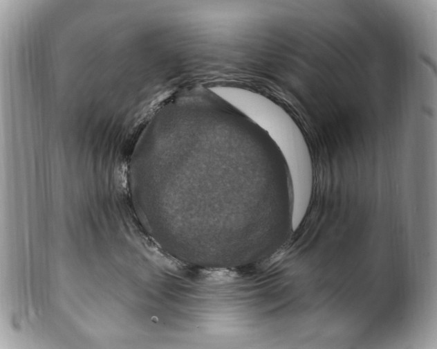 X0000099580621200806131319