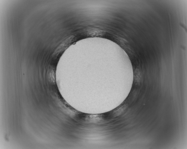 X0000099580622200806131319