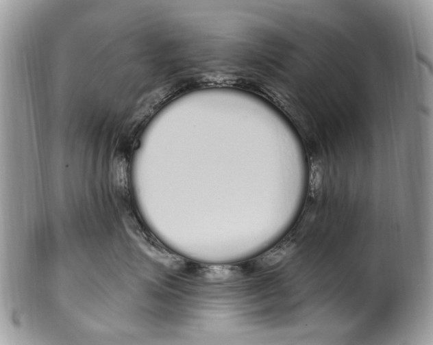 X0000099580623200806131319