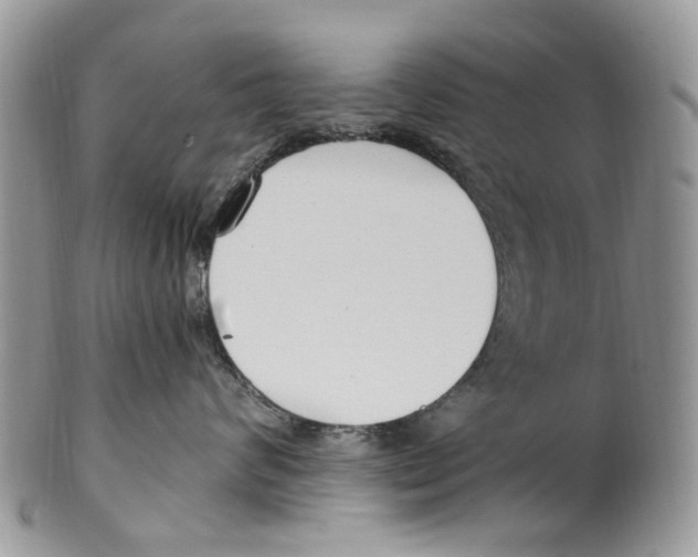 X0000099580624200806131319