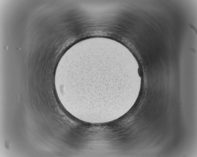 X0000099580625200806131319