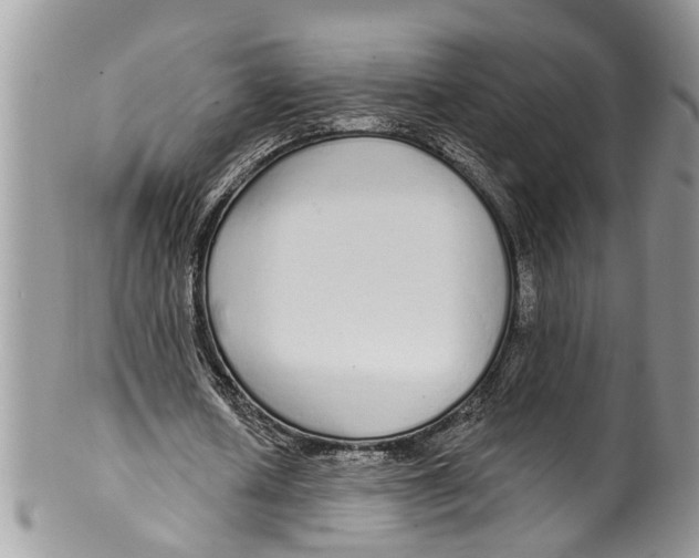 X0000099580626200806131319