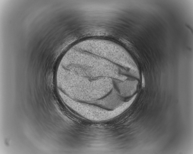 X0000099580627200806131319