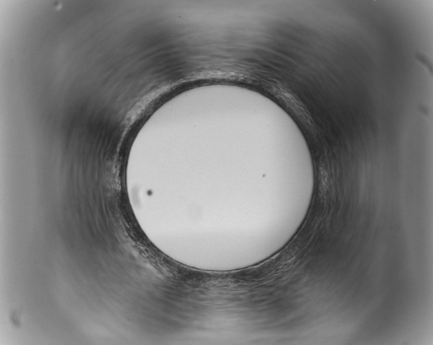 X0000099580628200806131319