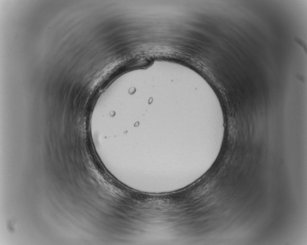 X0000099580629200806131319