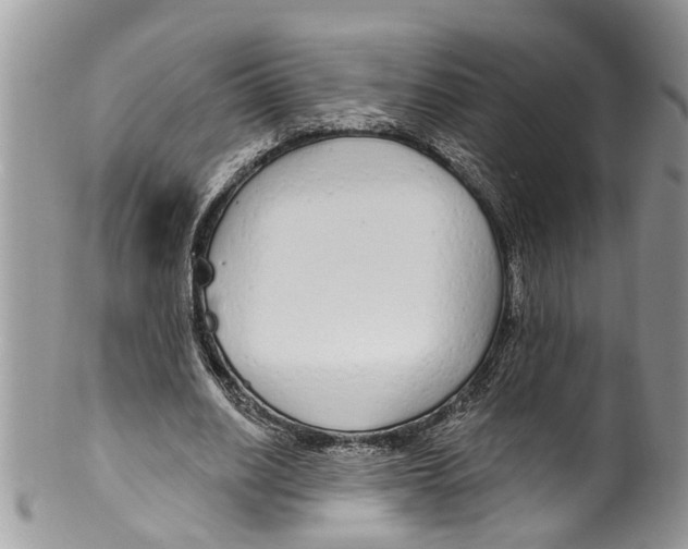 X0000099580630200806131319