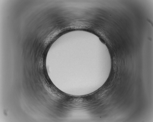 X0000099580631200806131319