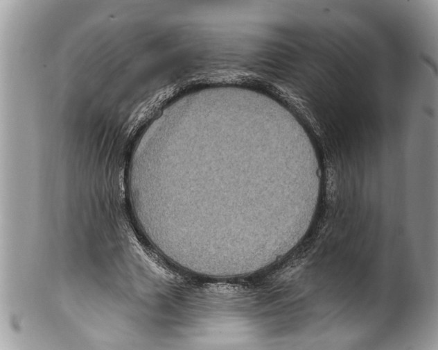 X0000099580633200806131319