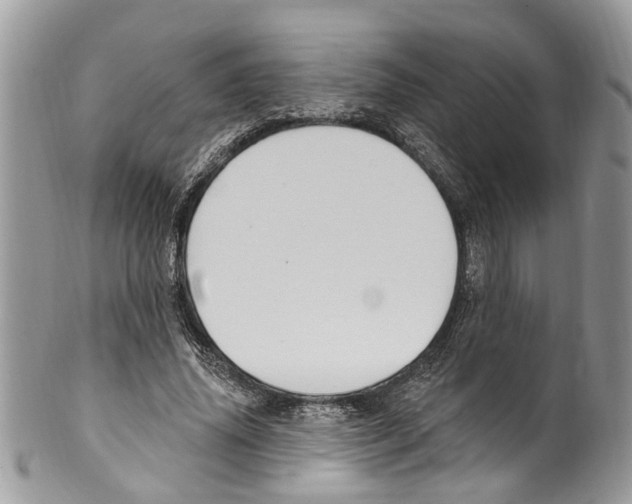 X0000099580636200806131319