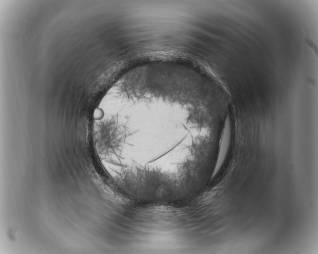 X0000099580637200806131319