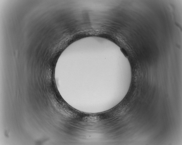 X0000099580639200806131319