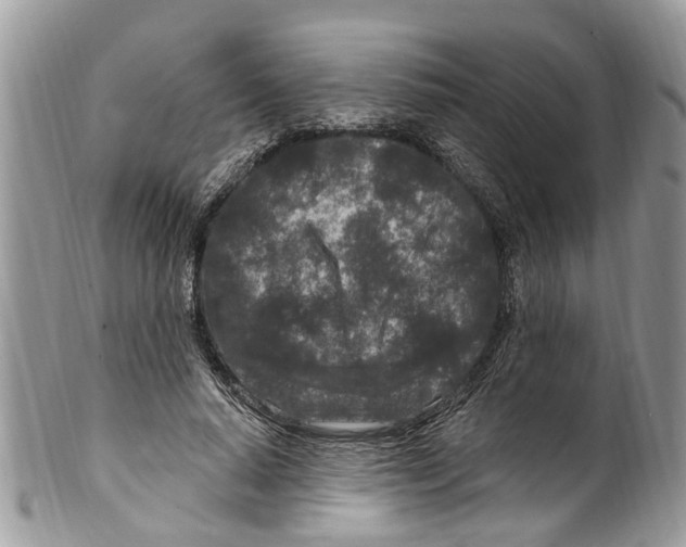 X0000099580640200806131319