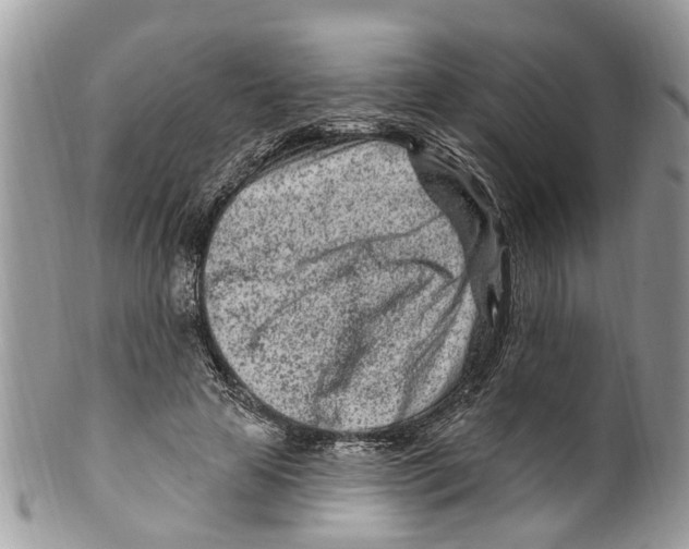 X0000099580641200806131319