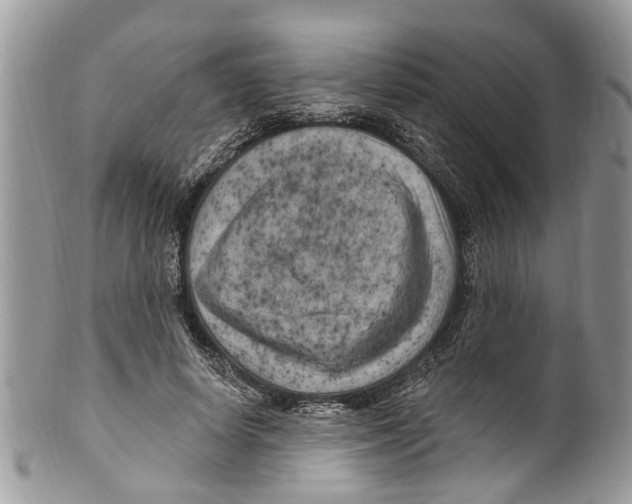 X0000099580642200806131319