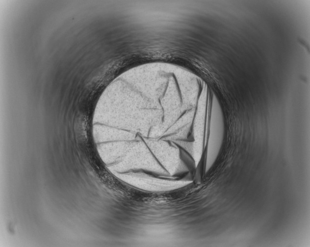 X0000099580643200806131319