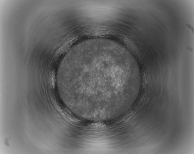 X0000099580644200806131319