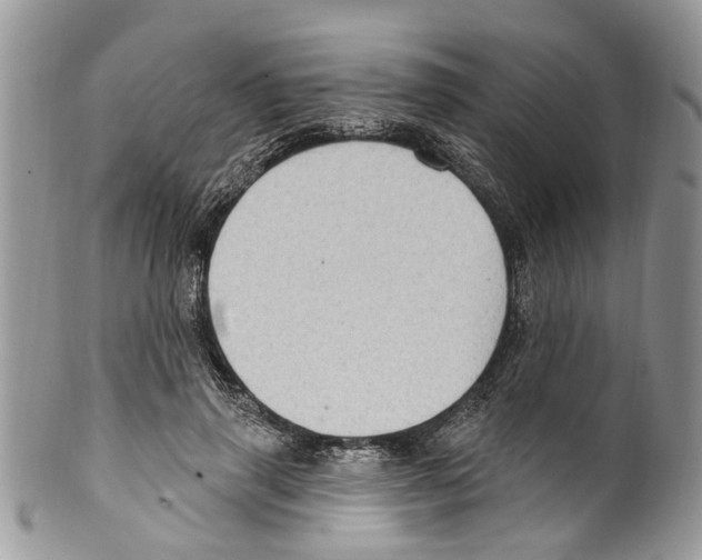 X0000099580645200806131319