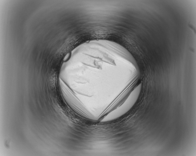 X0000099580647200806131319