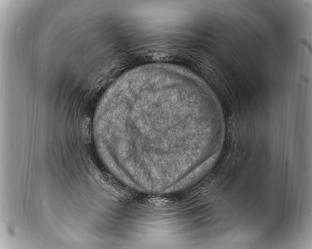 X0000099580650200806131319