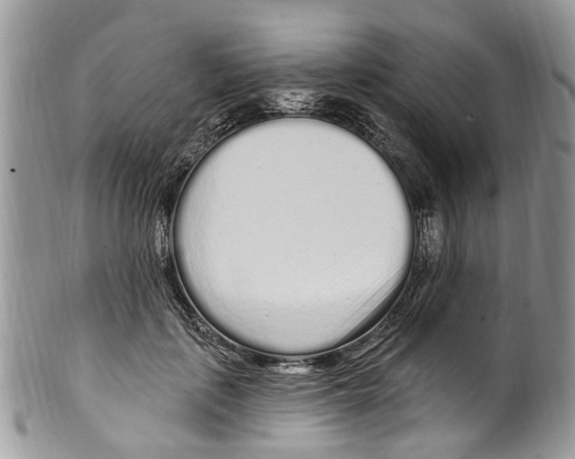 X0000099580651200806131319