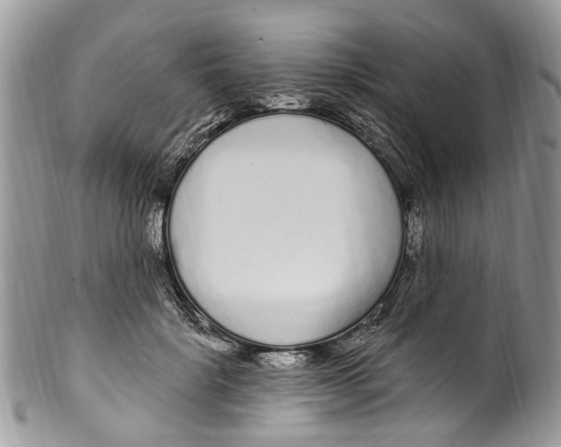 X0000099580652200806131319