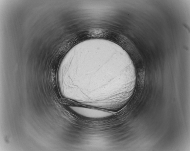 X0000099580653200806131319