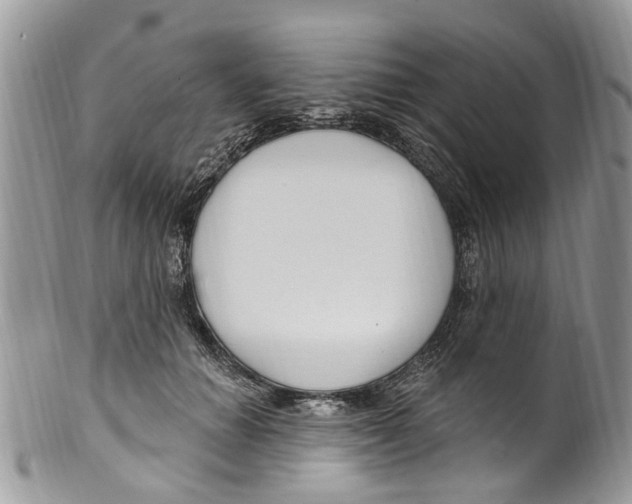 X0000099580654200806131319