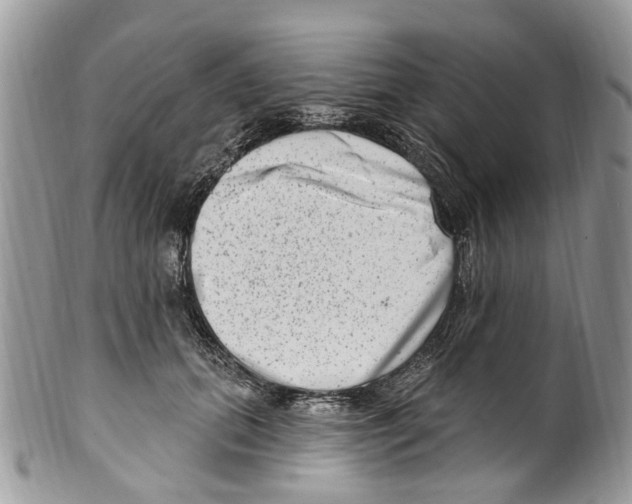 X0000099580655200806131319