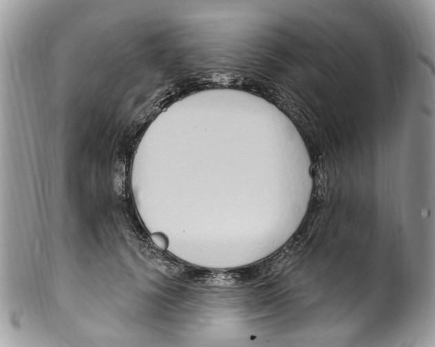 X0000099580656200806131319