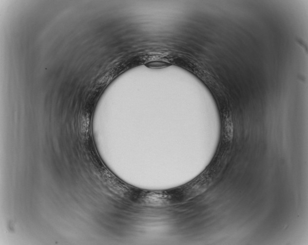 X0000099580657200806131319