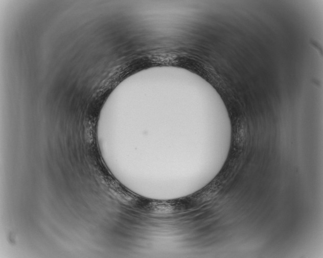 X0000099580658200806131319