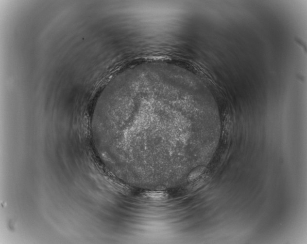 X0000099580659200806131319