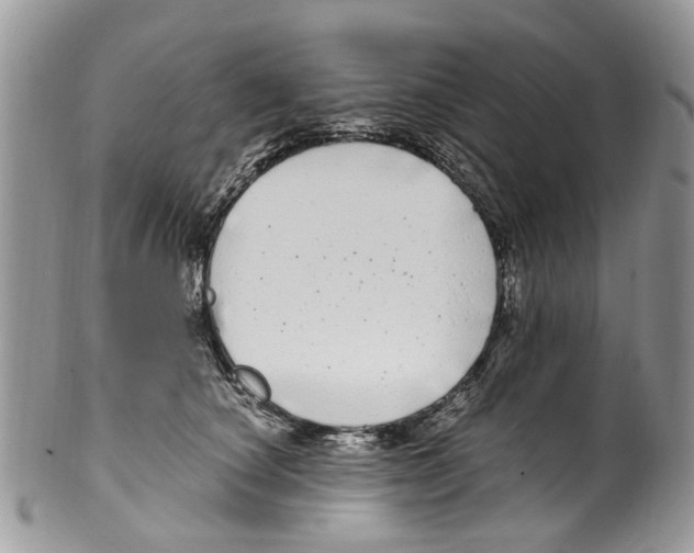 X0000099580660200806131319