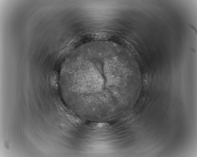 X0000099580663200806131319