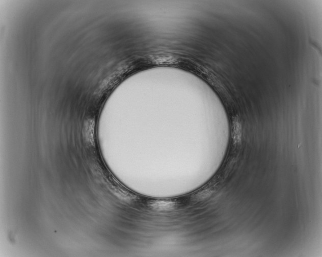 X0000099580664200806131319