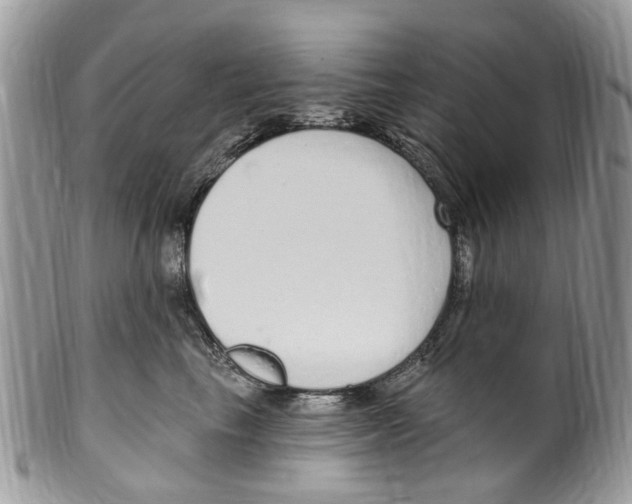 X0000099580665200806131319