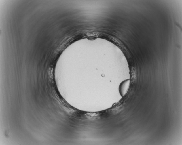 X0000099580667200806131319