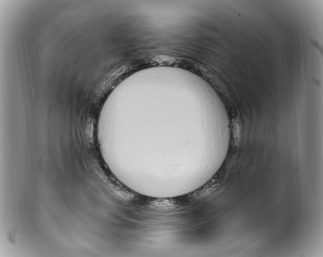 X0000099580668200806131319